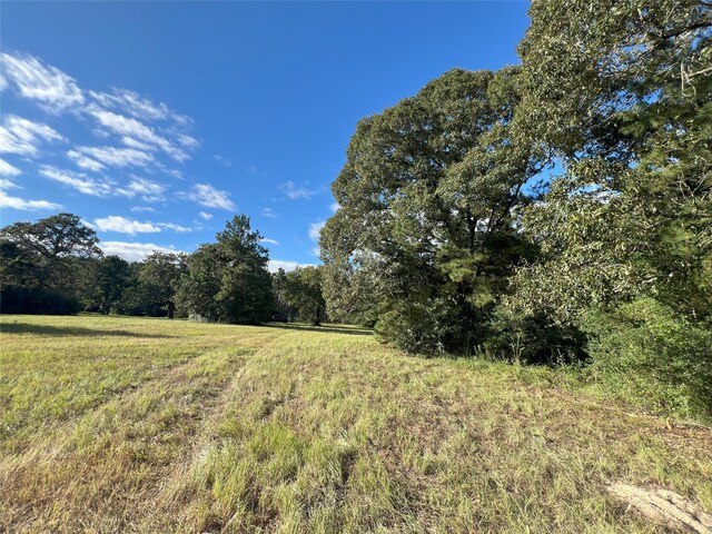 4000 N Fm 1486, Montgomery, TX 77356 - photo 19