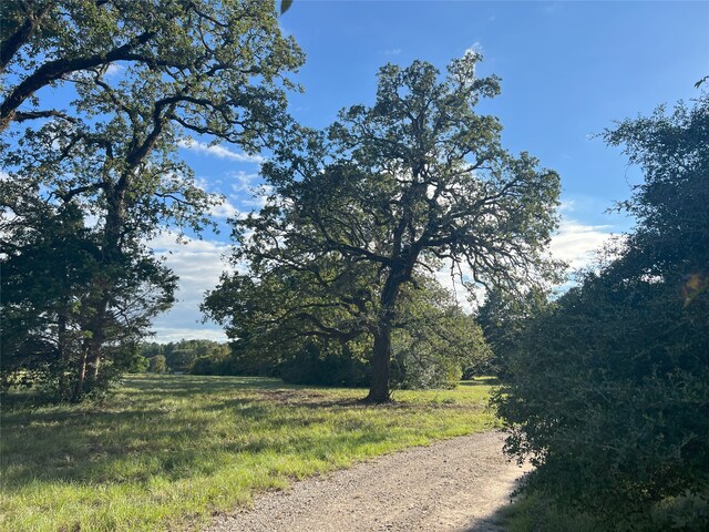 4000 N Fm 1486, Montgomery, TX 77356 - photo 20