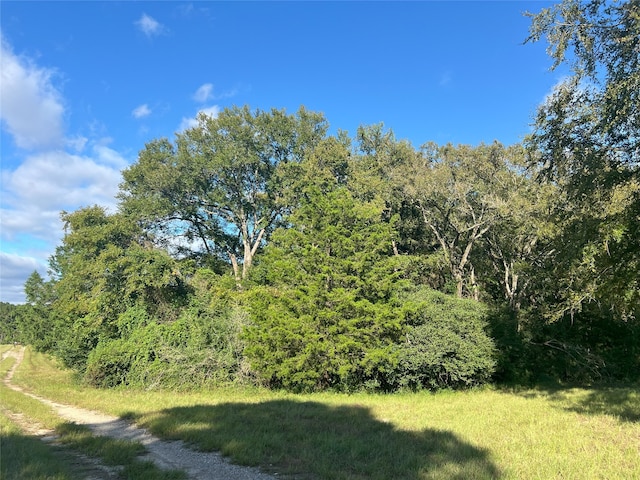 4000 N Fm 1486, Montgomery, TX 77356 - photo 21