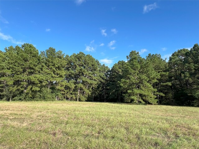 4000 N Fm 1486, Montgomery, TX 77356 - photo 22