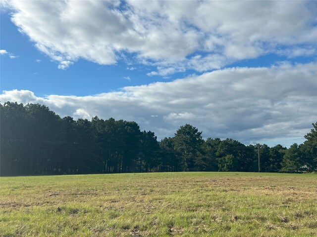 4000 N Fm 1486, Montgomery, TX 77356 - photo 23