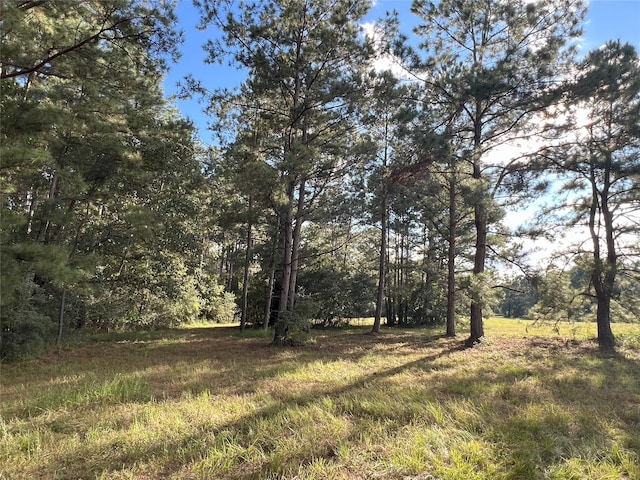 4000 N Fm 1486, Montgomery, TX 77356 - photo 24