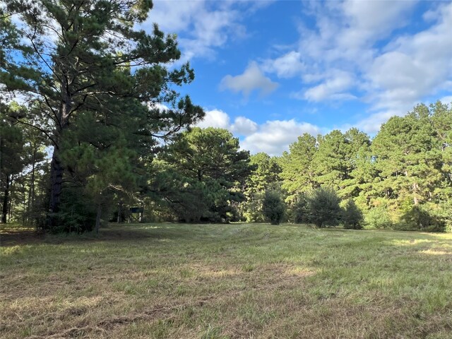 4000 N Fm 1486, Montgomery, TX 77356 - photo 25