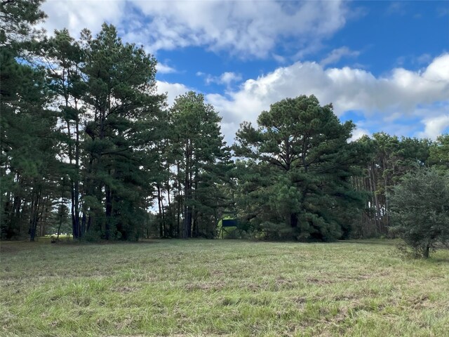 4000 N Fm 1486, Montgomery, TX 77356 - photo 26