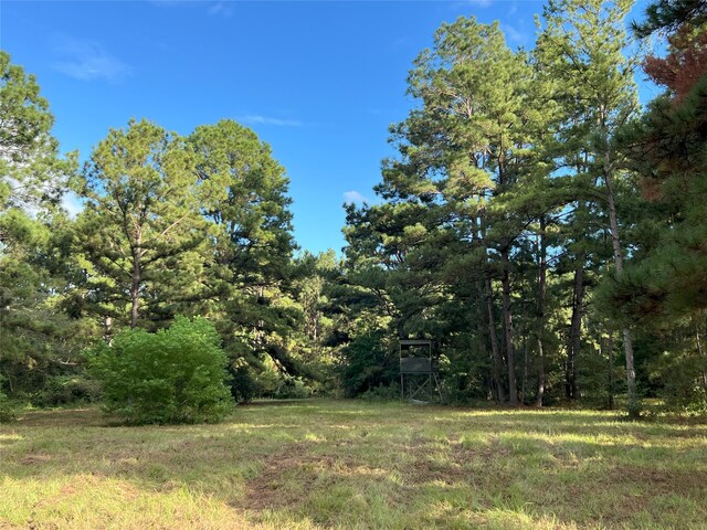 4000 N Fm 1486, Montgomery, TX 77356 - photo 27