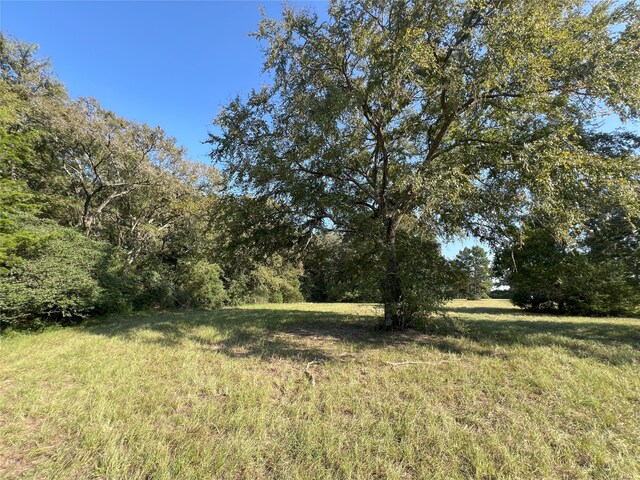 4000 N Fm 1486, Montgomery, TX 77356 - photo 37