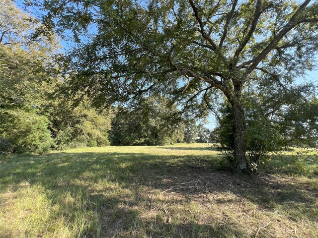 4000 N Fm 1486, Montgomery, TX 77356 - photo 38