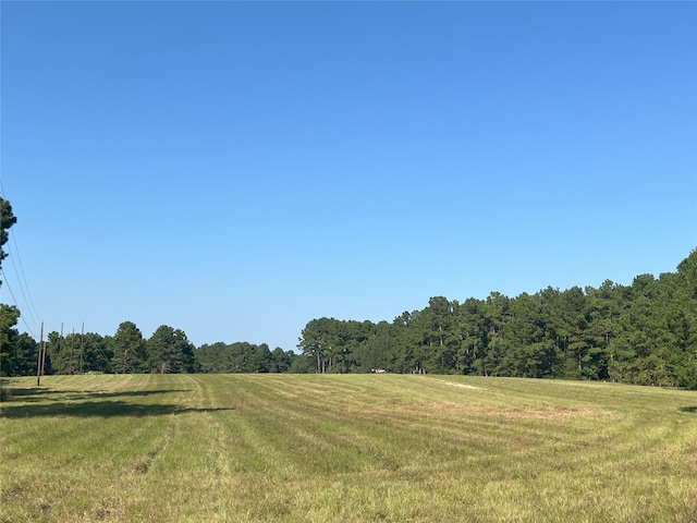 4000 N Fm 1486, Montgomery, TX 77356 - photo 39