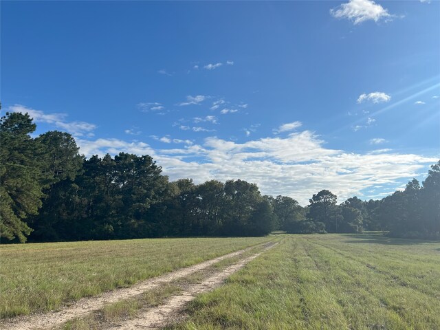 4000 N Fm 1486, Montgomery, TX 77356 - photo 41