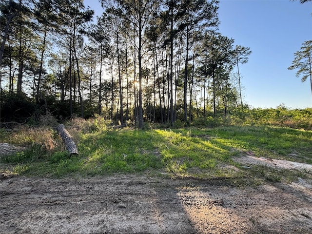 Listing photo 2 for TBD Hardy Rd, Houston TX 77073