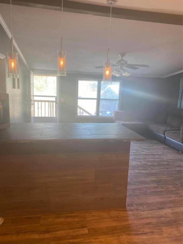 interior space featuring ceiling fan, crown molding, and dark hardwood / wood-style flooring