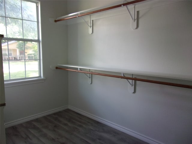 walk in closet featuring dark hardwood / wood-style floors