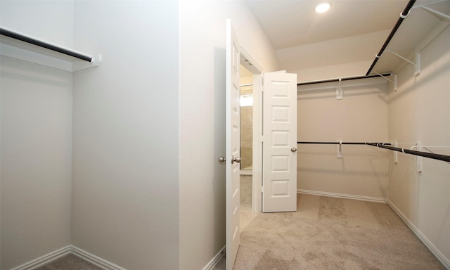 walk in closet with light carpet