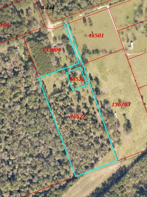 TBD Eastland Rd, Shepherd TX, 77371 land for sale