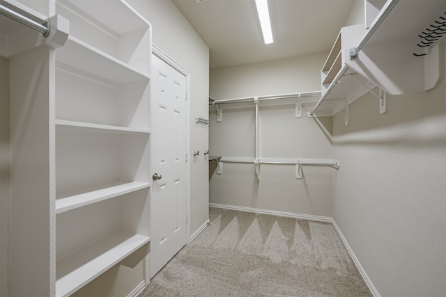 walk in closet with light carpet