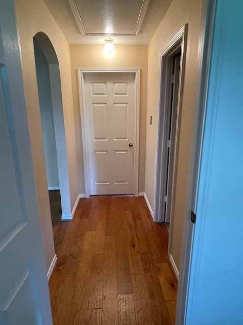 hall featuring hardwood / wood-style floors