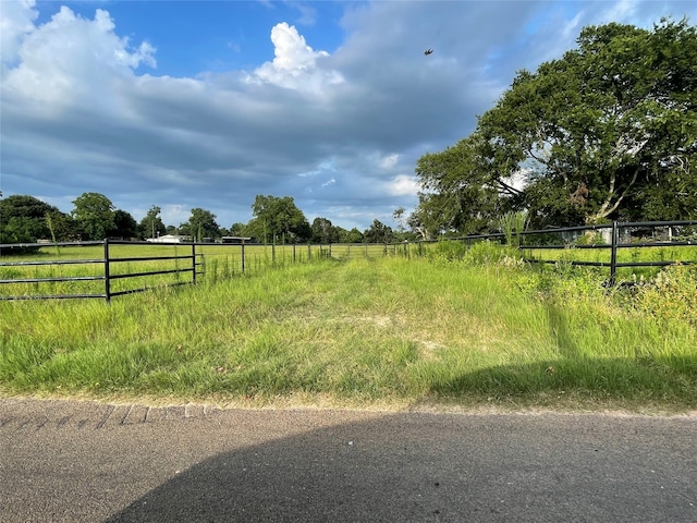 view of yard featuring a rural view