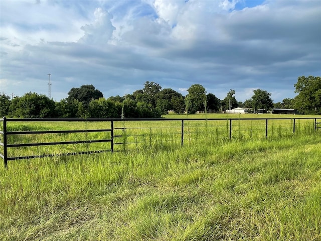 view of yard with a rural view