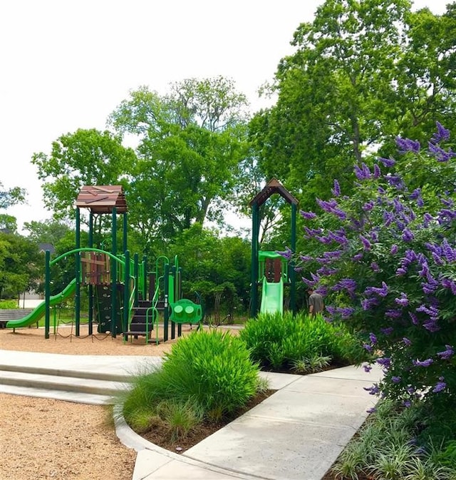 view of jungle gym