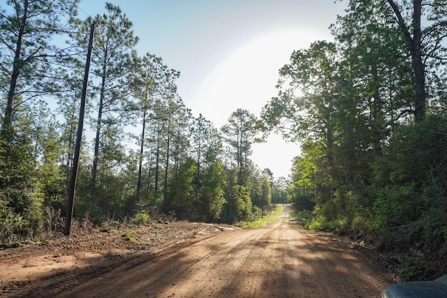 TBD County Road 4575, Spurger TX, 77660 land for sale