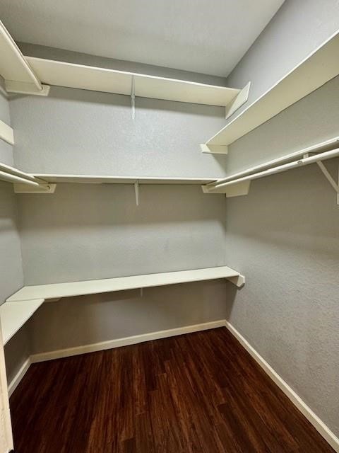 walk in closet featuring dark wood-type flooring