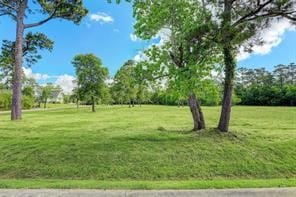 Listing photo 2 for 0 S Country Club Dr, Shoreacres TX 77571