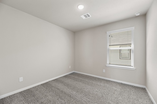 spare room featuring carpet and plenty of natural light