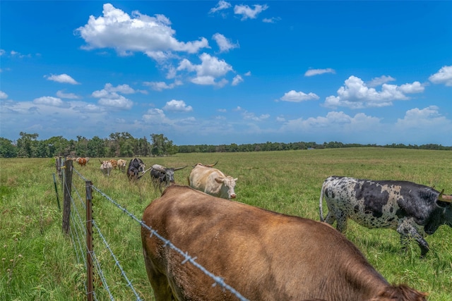 view of yard featuring a rural view