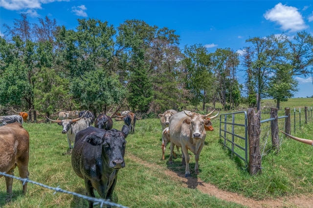 view of yard with a rural view