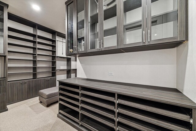 spacious closet featuring light colored carpet