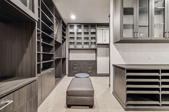 spacious closet featuring light colored carpet