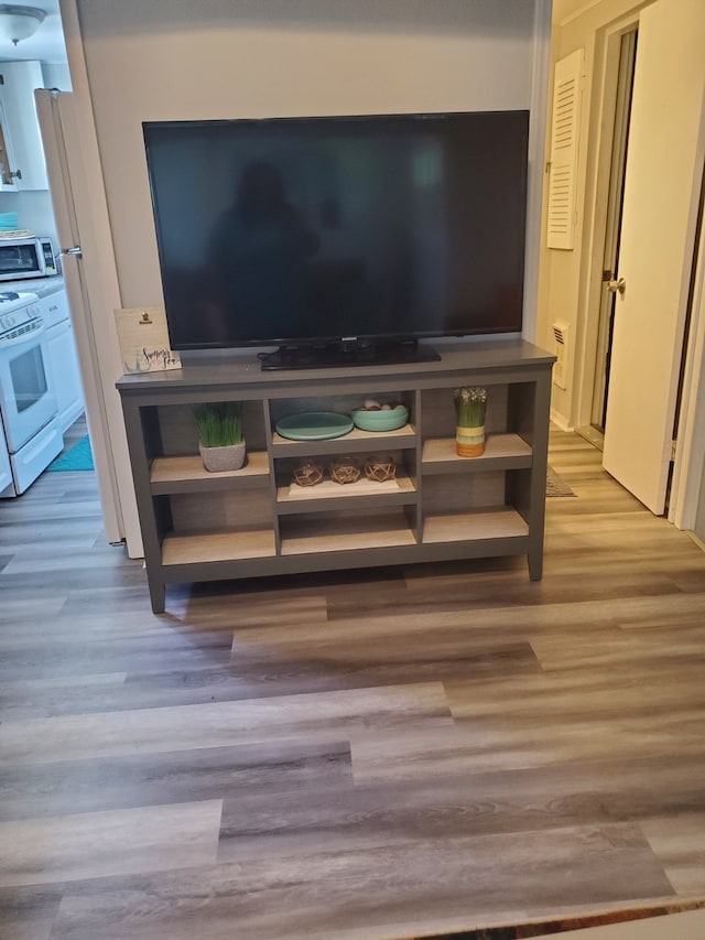 room details with hardwood / wood-style floors and white stove