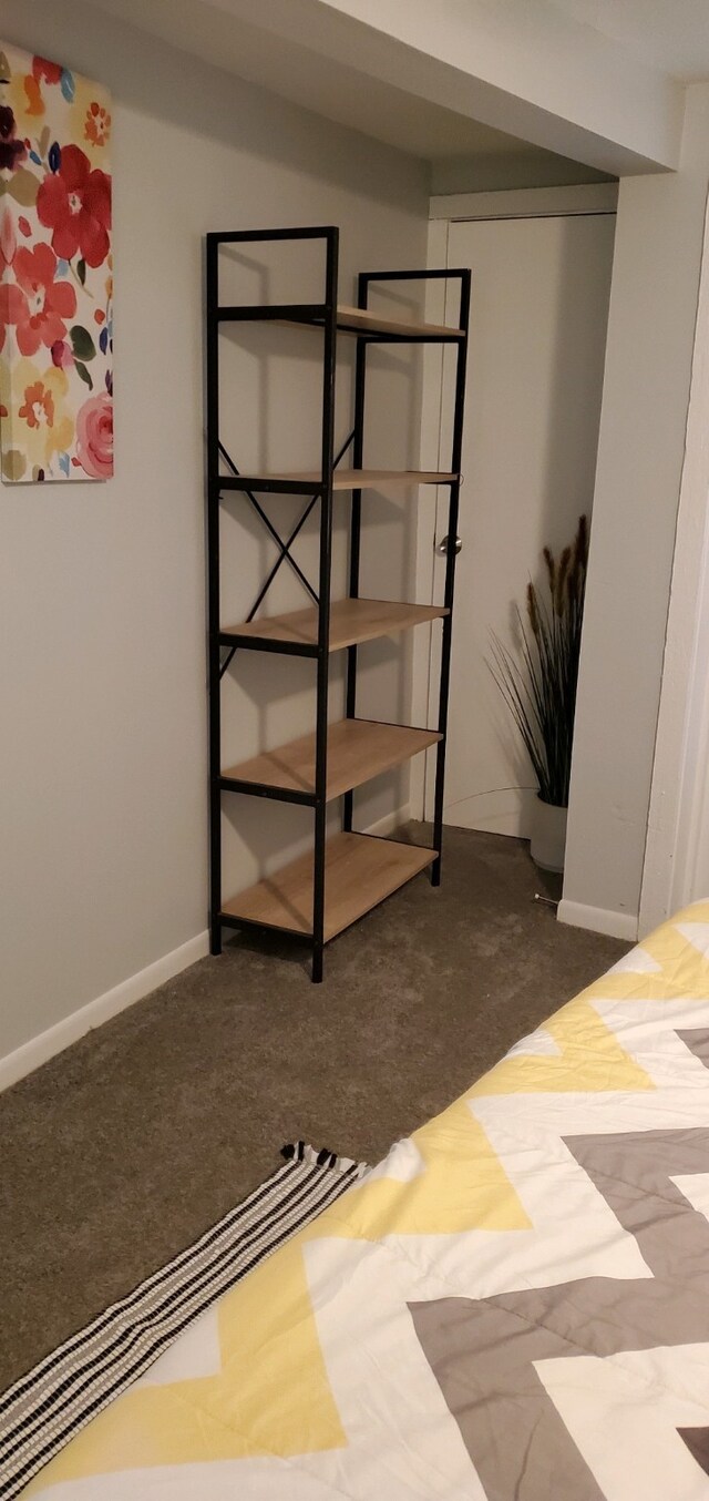 basement with carpet flooring