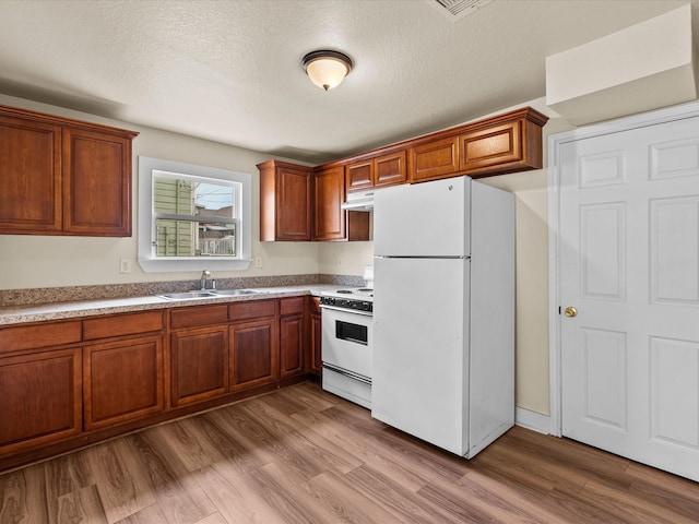 kitchen featuring light wood-type flooring, white appliances, sink, and a textured ceiling