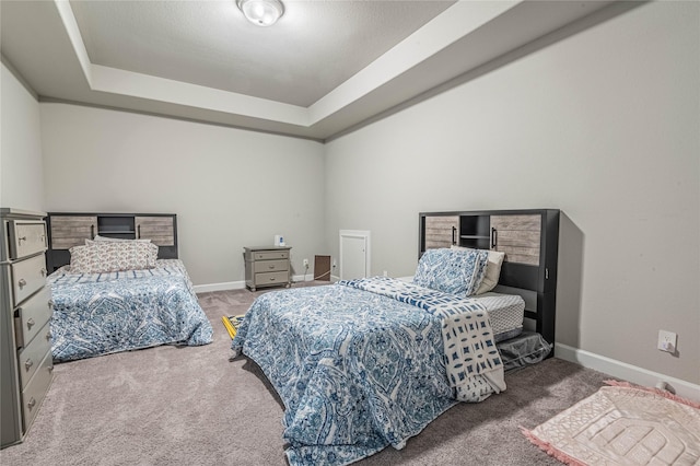 carpeted bedroom featuring a raised ceiling