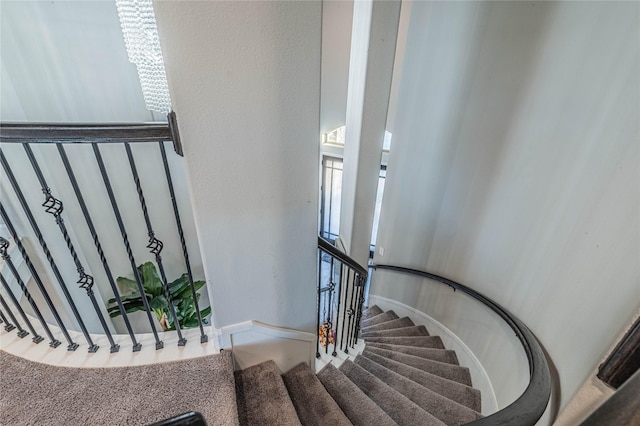 staircase featuring carpet flooring