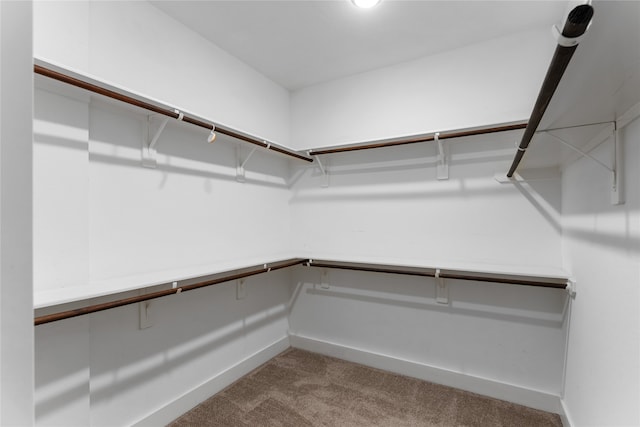 spacious closet featuring light colored carpet