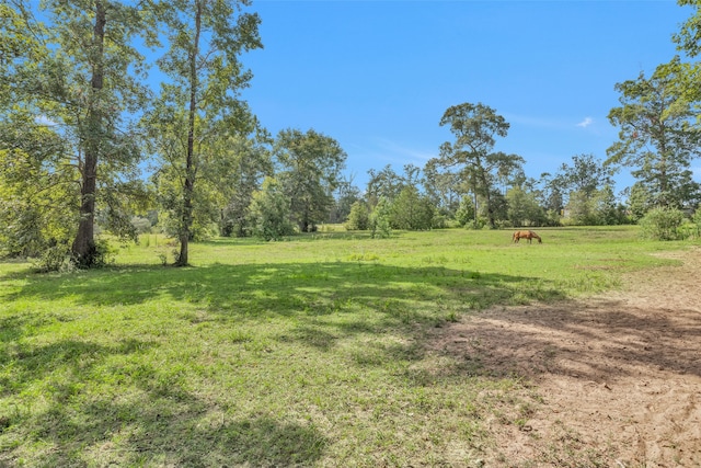 view of yard with a rural view