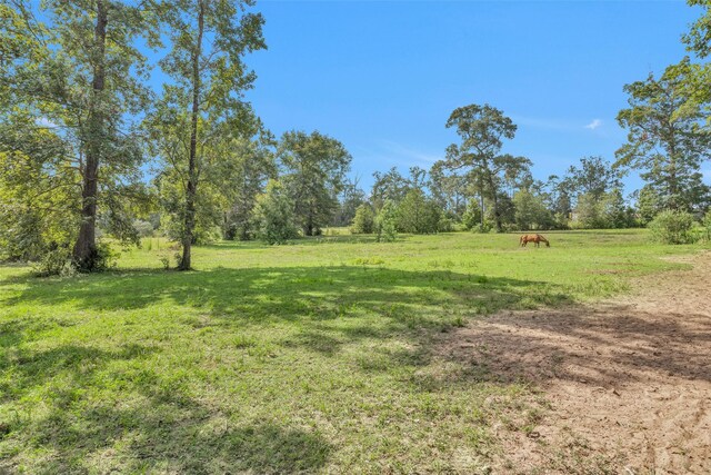10810 Farrell Rd, Willis, TX 77378 - photo 33