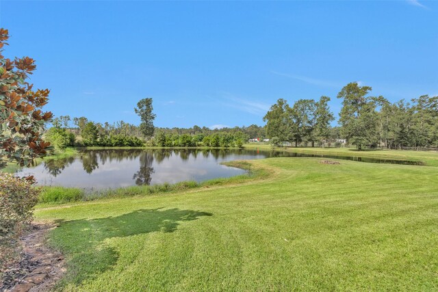 10810 Farrell Rd, Willis, TX 77378 - photo 34