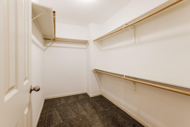 spacious closet featuring dark carpet