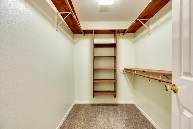 spacious closet with carpet flooring