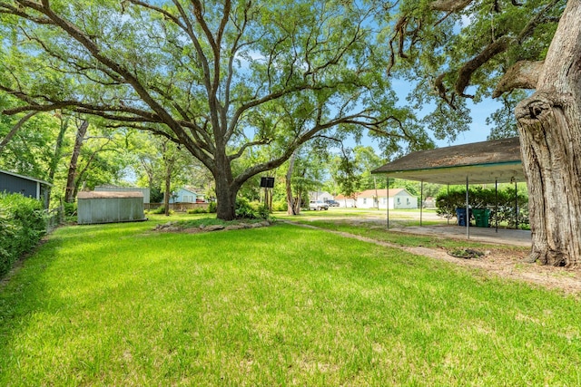 view of yard featuring a storage shed