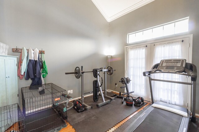 exercise area featuring a high ceiling and ornamental molding