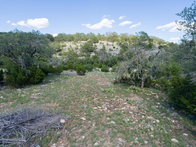 view of nature