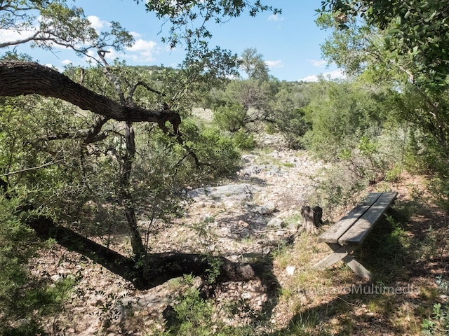 view of local wilderness