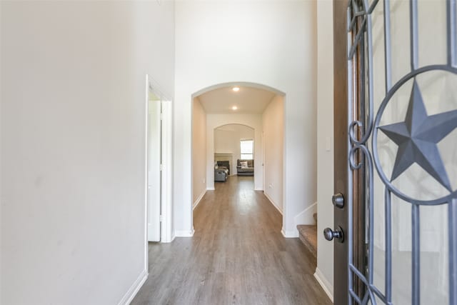 foyer featuring a fireplace, a towering ceiling, and wood-type flooring