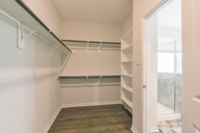 walk in closet featuring dark hardwood / wood-style flooring