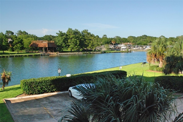 view of water feature