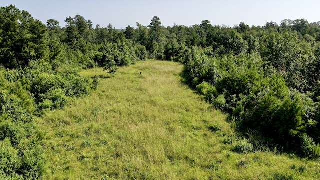 TBD Fm 946, Coldspring TX, 77331 land for sale